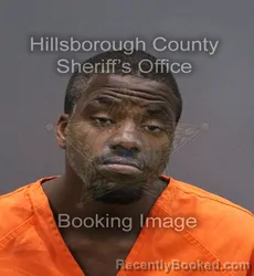 Mugshot of TASHAWN L ROBINSON booked in Hillsborough County, Florida on May 28, 2026