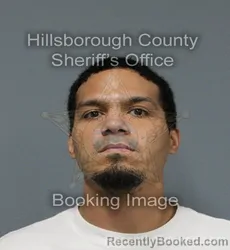 Mugshot of ANTHONY WAYNE BOYD booked in Hillsborough County, Florida on May 28, 2026