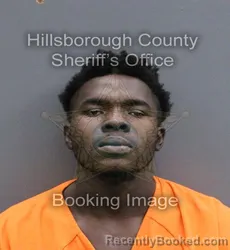 Mugshot of MOHAMMED SANGARE booked in Hillsborough County, Florida on May 28, 2026