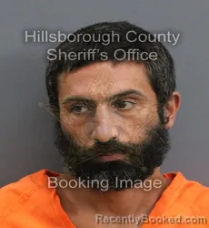 Mugshot of JONATHAN CHRISTOPHER PALERMO booked in Hillsborough County, Florida on May 28, 2026