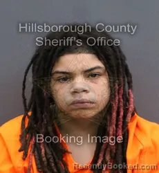 Mugshot of RAZIYA ROBERTS booked in Hillsborough County, Florida on May 28, 2026