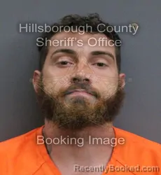 Mugshot of STEVEN PAUL LENGEL booked in Hillsborough County, Florida on May 28, 2026