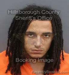 Mugshot of MICHAEL DERRON MOORE booked in Hillsborough County, Florida on May 28, 2026