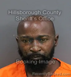 Mugshot of CARL EDWARD JR WINGO booked in Hillsborough County, Florida on May 28, 2026