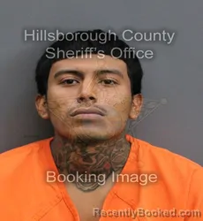 Mugshot of KELVIN ROSALIN RAMOS-LOPEZ booked in Hillsborough County, Florida on May 28, 2026