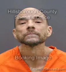 Mugshot of CLARENCE FREDRICK III MARTIN booked in Hillsborough County, Florida on May 28, 2026