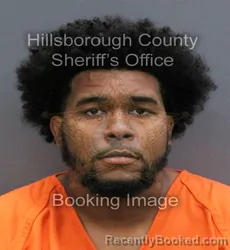 Mugshot of GABRIEL DE JESUS LORENZO GALVAN booked in Hillsborough County, Florida on May 28, 2026