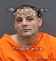 Mugshot of JOSUE SOTO booked in Hillsborough County, Florida on May 28, 2026