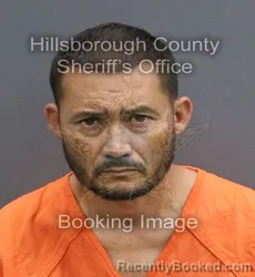 Mugshot of BENSON WILLIAM IV GATES booked in Hillsborough County, Florida on May 28, 2026