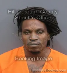 Mugshot of JESUS ERFRAIN MARTINEZ booked in Hillsborough County, Florida on May 28, 2026