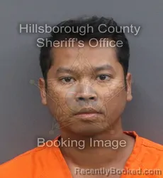 Mugshot of ELIJAH DAVID LIVINGSTON booked in Hillsborough County, Florida on May 28, 2026