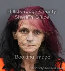 Mugshot of MELISSIA DAWN ALLEN booked in Hillsborough County, Florida on May 28, 2026