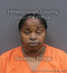 Mugshot of HELENA JACQUESE FERGUS booked in Hillsborough County, Florida on May 28, 2026
