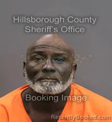Mugshot of JAMES DAVID MCDONALD booked in Hillsborough County, Florida on May 28, 2026