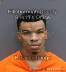Mugshot of MICHAEL DESHAWN LEWIS booked in Hillsborough County, Florida on May 28, 2026