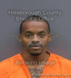 Mugshot of KENT HAWKINS JOHNSON booked in Hillsborough County, Florida on May 28, 2026