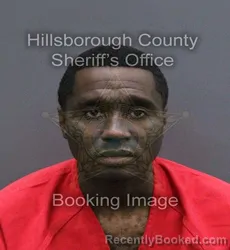 Mugshot of BRYCE RIVERS MATTOX booked in Hillsborough County, Florida on May 28, 2026