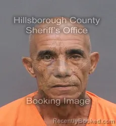 Mugshot of PEDRO MONTALVO BETANCES booked in Hillsborough County, Florida on May 28, 2026