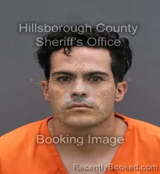 Mugshot of CRISTIAN OSCAR GARCES ALBA booked in Hillsborough County, Florida on May 28, 2026