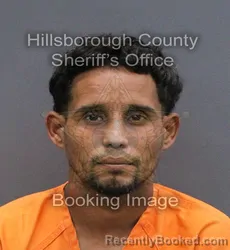 Mugshot of RAFAEL JOSE MORALES MORALES booked in Hillsborough County, Florida on May 28, 2026