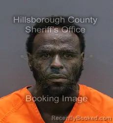 Mugshot of RYAN ALBURY booked in Hillsborough County, Florida on May 28, 2026