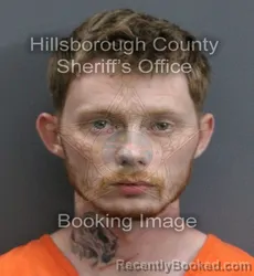 Mugshot of JORDAN LEON MC GILL booked in Hillsborough County, Florida on May 29, 2026