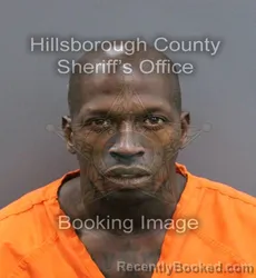 Mugshot of ERNEST LEE CHRISTOPHER WILLIAMS booked in Hillsborough County, Florida on May 29, 2026