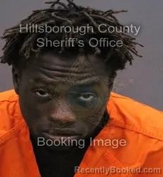 Mugshot of LUBENSKY CHANDLEY LUBERISSE booked in Hillsborough County, Florida on May 29, 2026