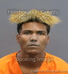 Mugshot of RODNEY VIDAL ACOSTA booked in Hillsborough County, Florida on May 29, 2026