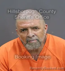 Mugshot of DAMION LEE RABURN booked in Hillsborough County, Florida on May 29, 2026