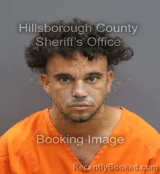 Mugshot of JORGE ALFREDO CRUZ PINO booked in Hillsborough County, Florida on May 29, 2026