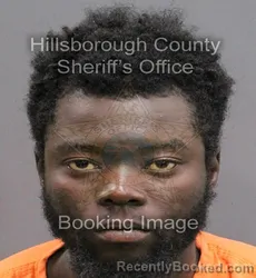 Mugshot of DAVID WESNEL JEAN booked in Hillsborough County, Florida on May 29, 2026