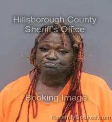 Mugshot of LAPERTHIA JANICE BLANDING booked in Hillsborough County, Florida on May 29, 2026