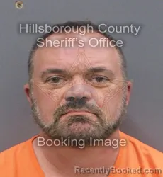 Mugshot of PETE A GOMENIS booked in Hillsborough County, Florida on May 29, 2026