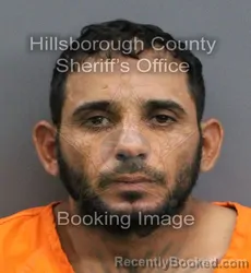 Mugshot of FRANK SANTIESTEBAN SERRANO booked in Hillsborough County, Florida on May 29, 2026