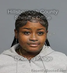 Mugshot of RICARIA PEARL ANDREWS booked in Hillsborough County, Florida on May 29, 2026