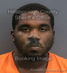 Mugshot of SHERMAN ROBERTS III DAVIS booked in Hillsborough County, Florida on May 29, 2026