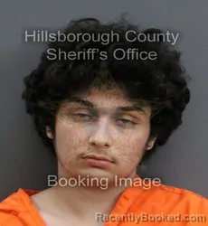 Mugshot of MATTHEW JAMES SCIGLIANO booked in Hillsborough County, Florida on May 29, 2026