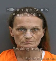 Mugshot of LISA ANN CELLEY booked in Hillsborough County, Florida on May 29, 2026