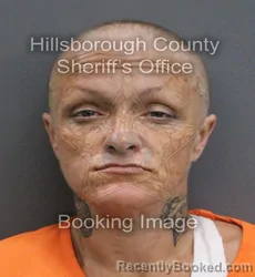 Mugshot of SARAH ANNE HURST booked in Hillsborough County, Florida on May 29, 2026