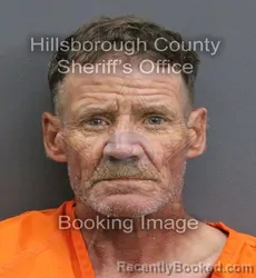 Mugshot of MARK THEODORE HOLM booked in Hillsborough County, Florida on May 29, 2026