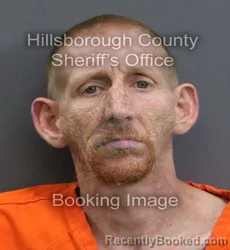 Mugshot of DAVID C ALDERMAN booked in Hillsborough County, Florida on May 29, 2026