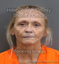 Mugshot of MELISA MAY BURTON booked in Hillsborough County, Florida on May 29, 2026