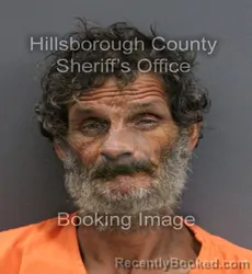 Mugshot of ISAAC NATHANIEL STAMPER booked in Hillsborough County, Florida on May 29, 2026