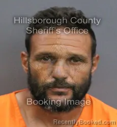 Mugshot of THOMAS F ALVAREZ booked in Hillsborough County, Florida on May 29, 2026