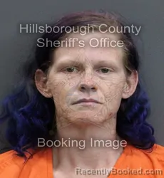 Mugshot of AMBER SUNSET LOVELL booked in Hillsborough County, Florida on May 29, 2026