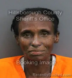 Mugshot of ASHLEY NICOLE BOWDEN booked in Hillsborough County, Florida on May 29, 2026