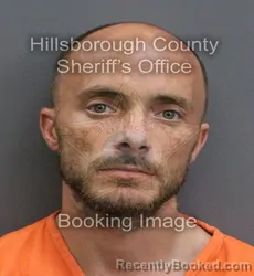 Mugshot of WILLIAM MASON KERNODLE booked in Hillsborough County, Florida on May 29, 2026