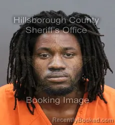 Mugshot of JONES GAPI booked in Hillsborough County, Florida on May 29, 2026