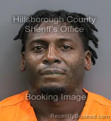 Mugshot of DERRICK LEON JR BROOKS booked in Hillsborough County, Florida on May 29, 2026
